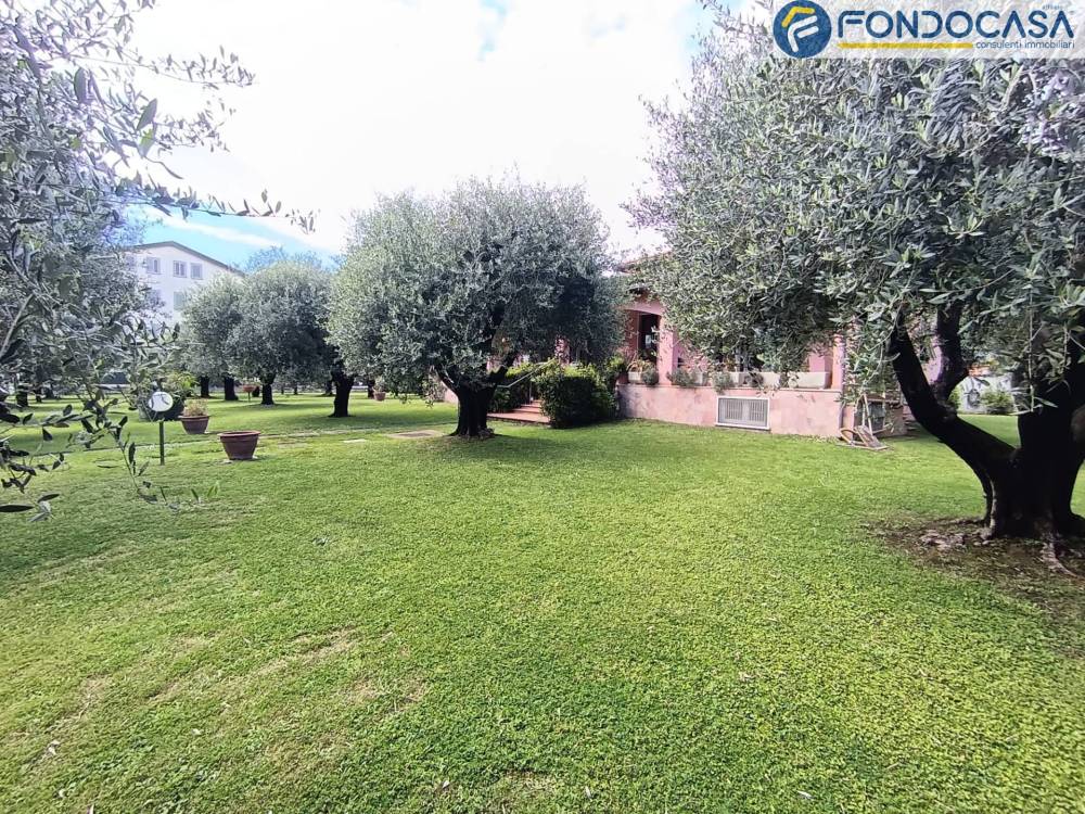 immagine annuncio 3 di 13