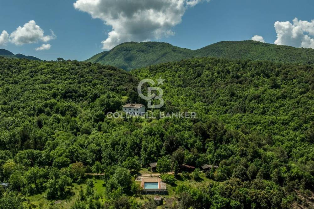 immagine annuncio 12 di 14