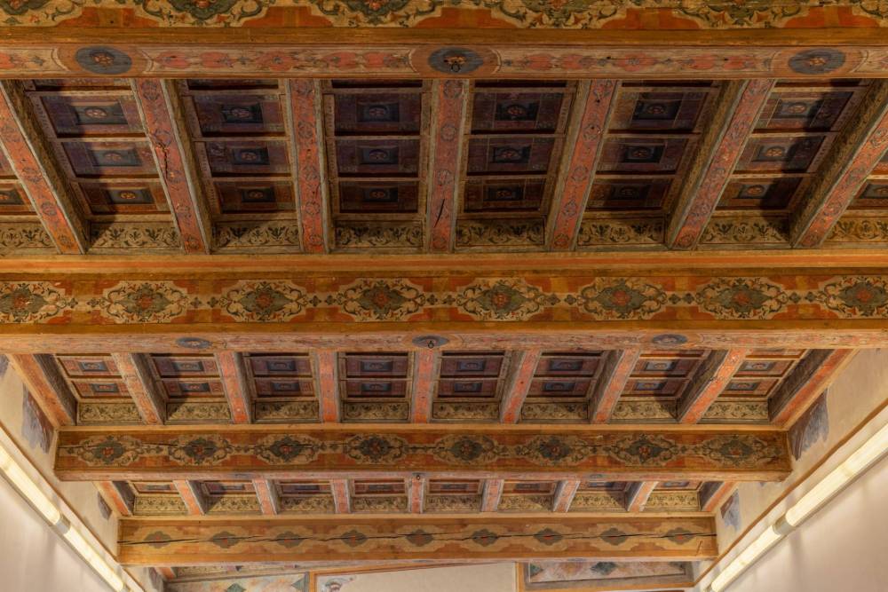 immagine annuncio 9 di 13