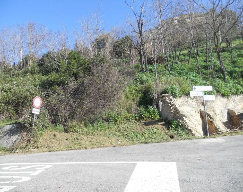 immagine annuncio 9 di 12