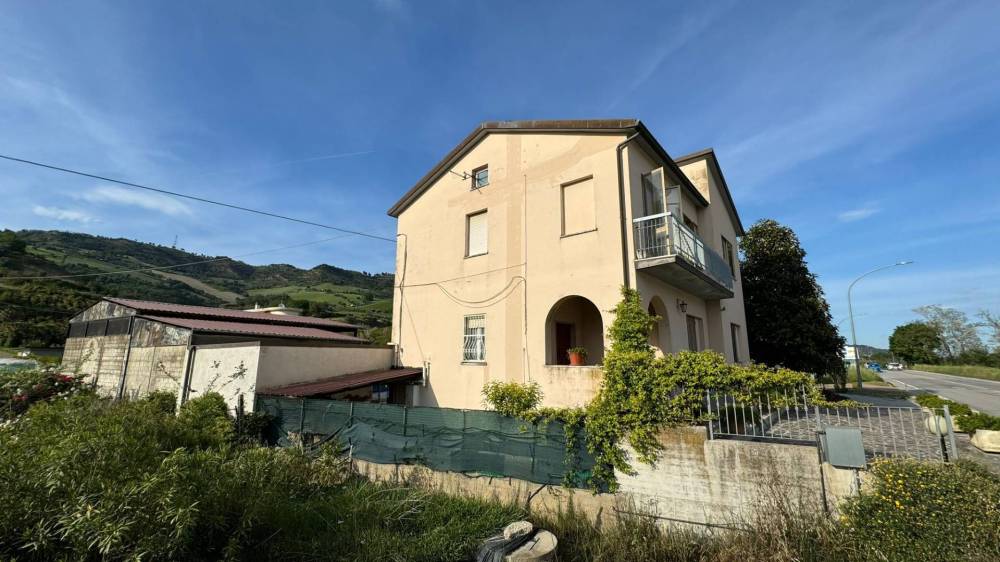 immagine annuncio 12 di 13