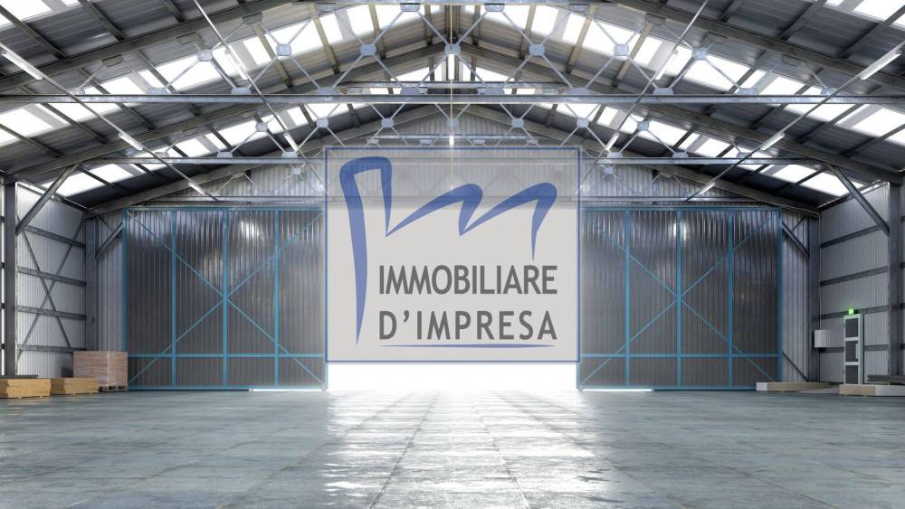immagine annuncio 2 di 9