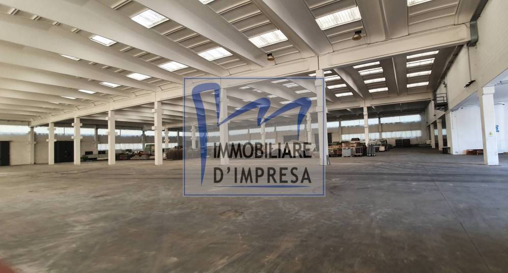 immagine annuncio 4 di 9