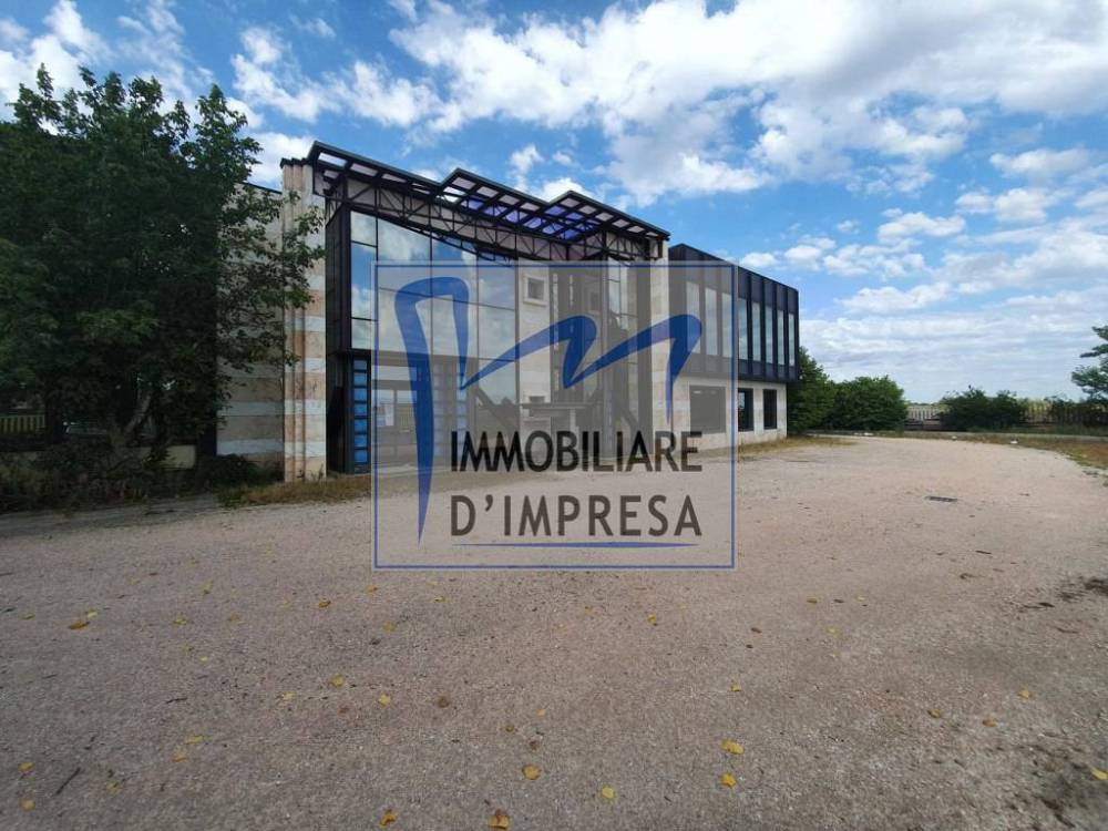 immagine annuncio 8 di 9