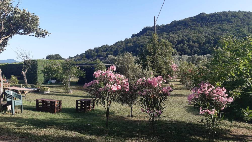 immagine annuncio 7 di 13