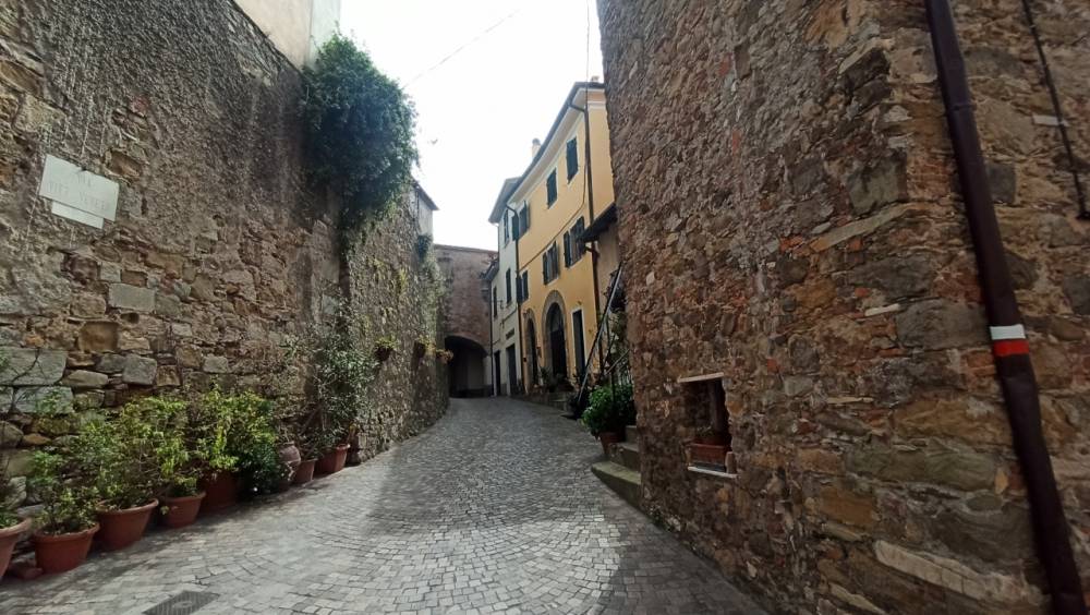 immagine annuncio 11 di 12