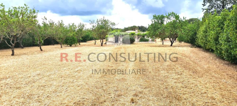 immagine annuncio 6 di 13