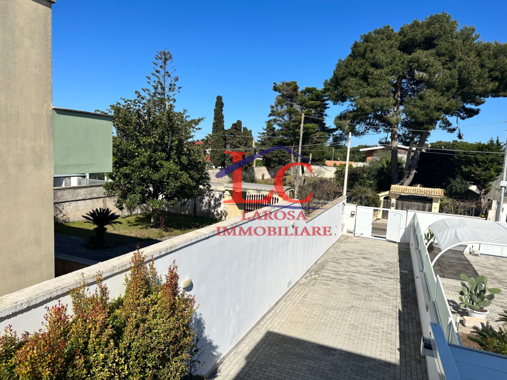 immagine annuncio 11 di 13