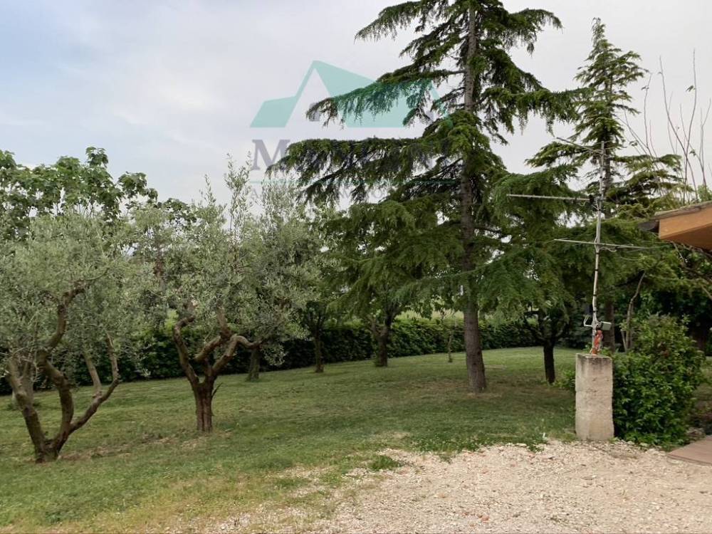 immagine annuncio 4 di 14