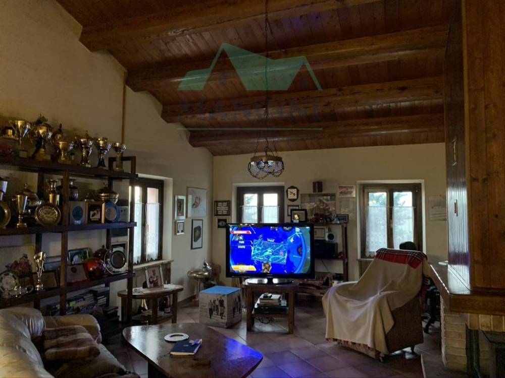 immagine annuncio 8 di 14