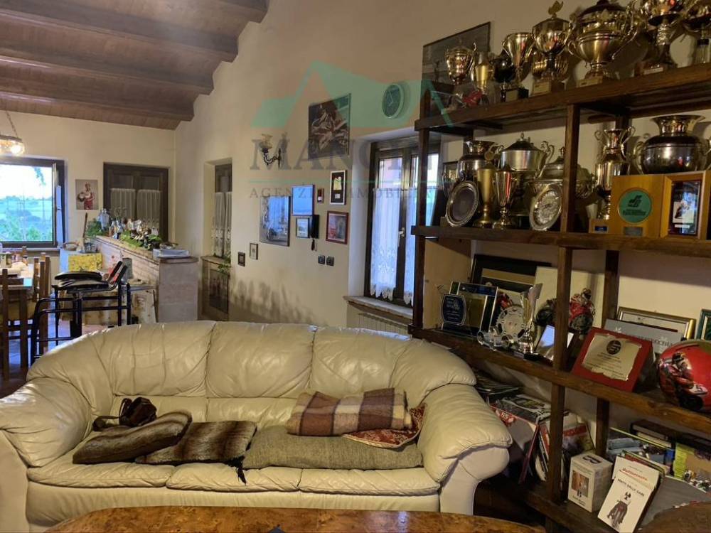 immagine annuncio 6 di 14