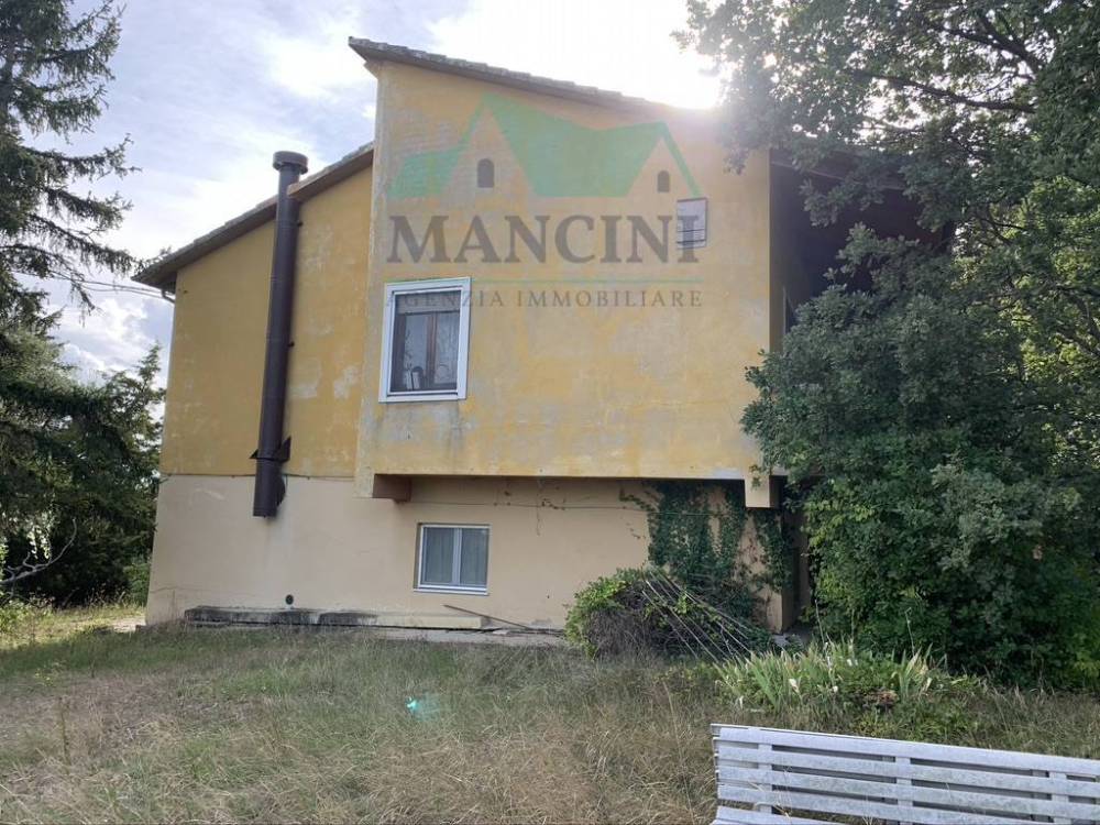 immagine annuncio 2 di 11