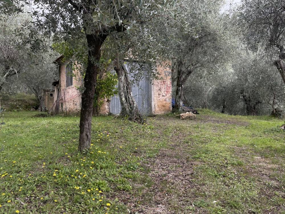 immagine annuncio 1 di 3