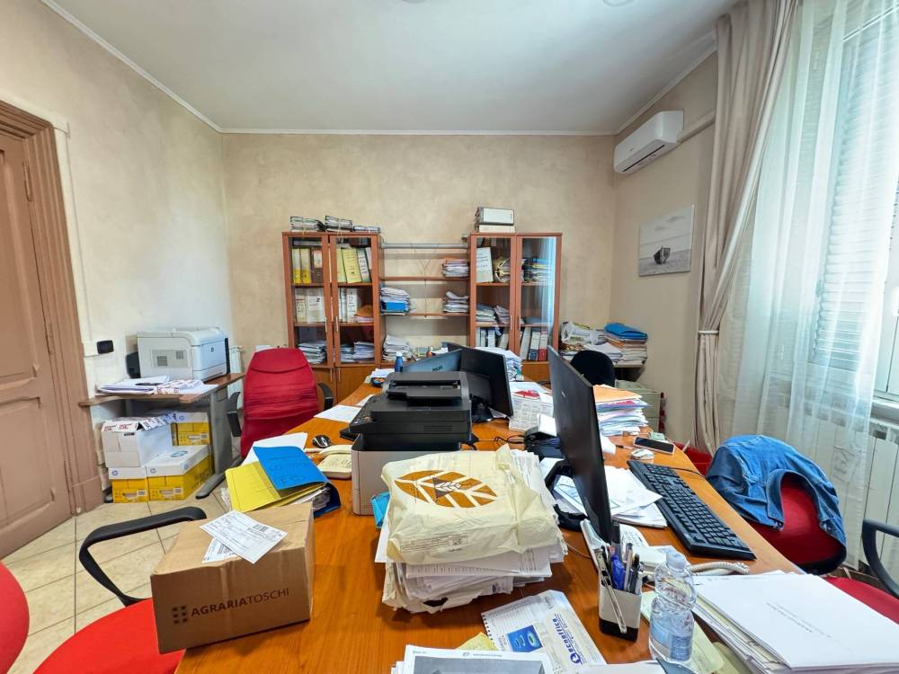 immagine annuncio 9 di 14