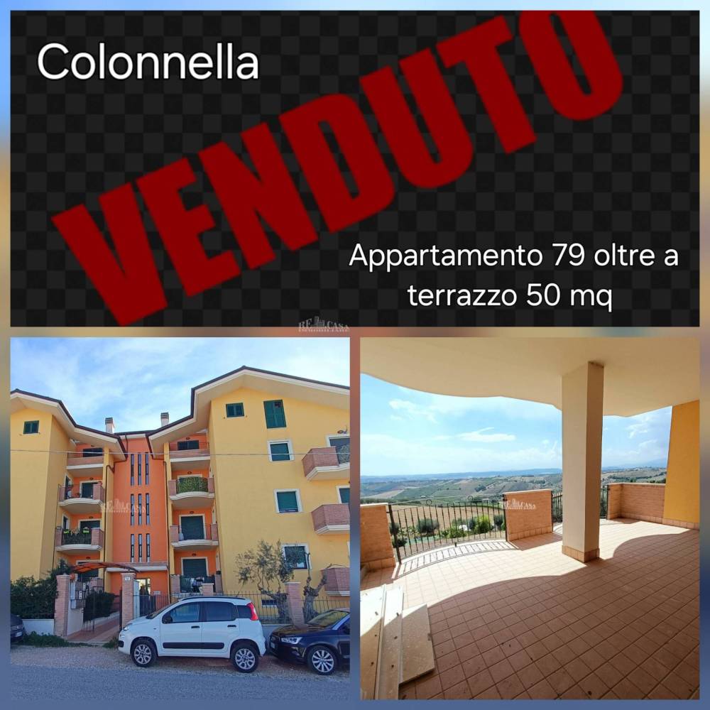 immagine annuncio 13 di 14