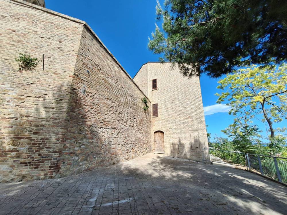 immagine annuncio 1 di 13