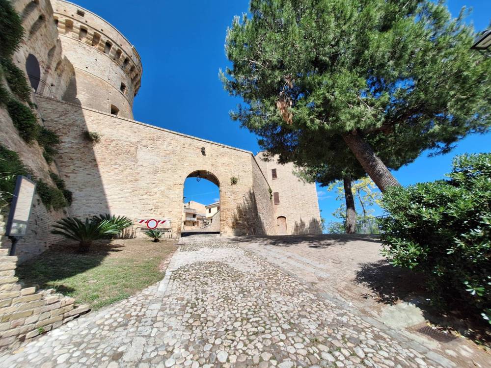 immagine annuncio 8 di 13