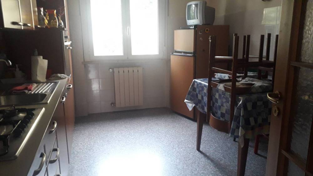 immagine annuncio 7 di 13