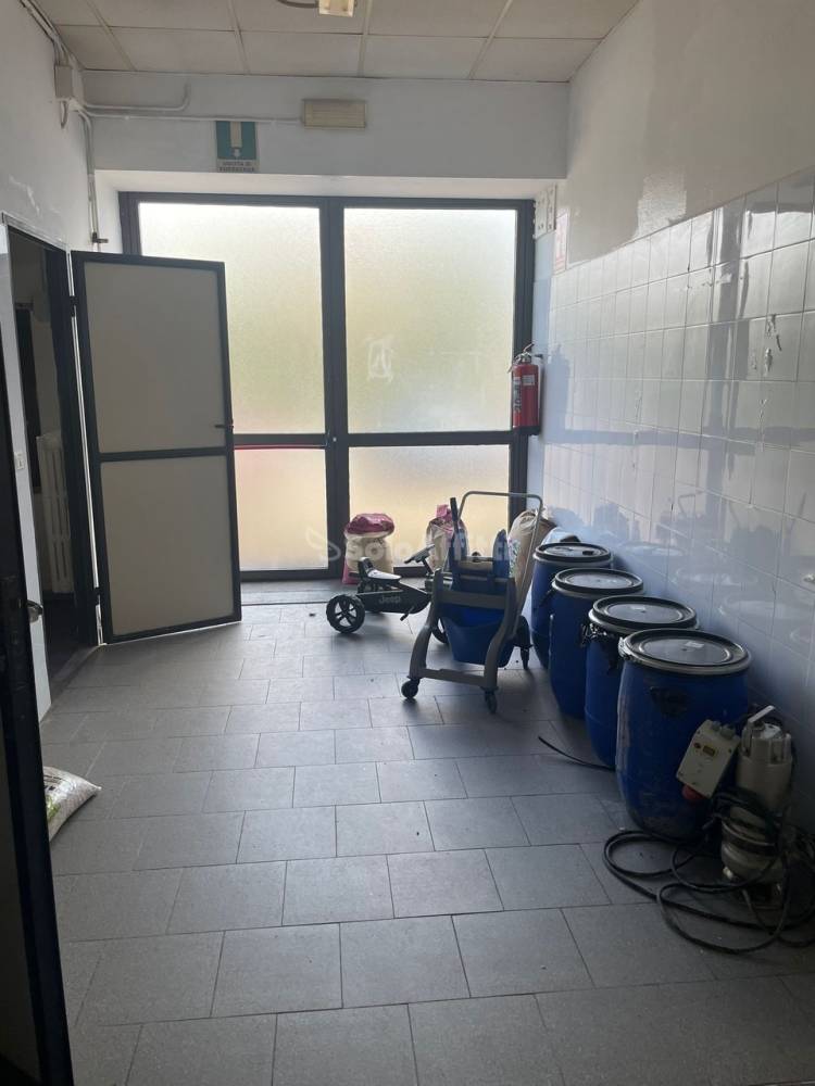 immagine annuncio 1 di 8