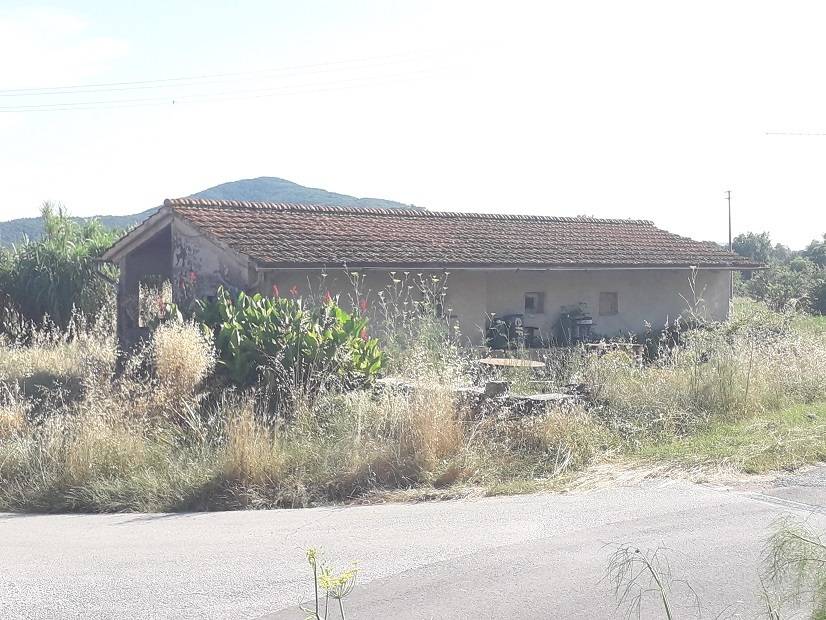 immagine annuncio 8 di 13