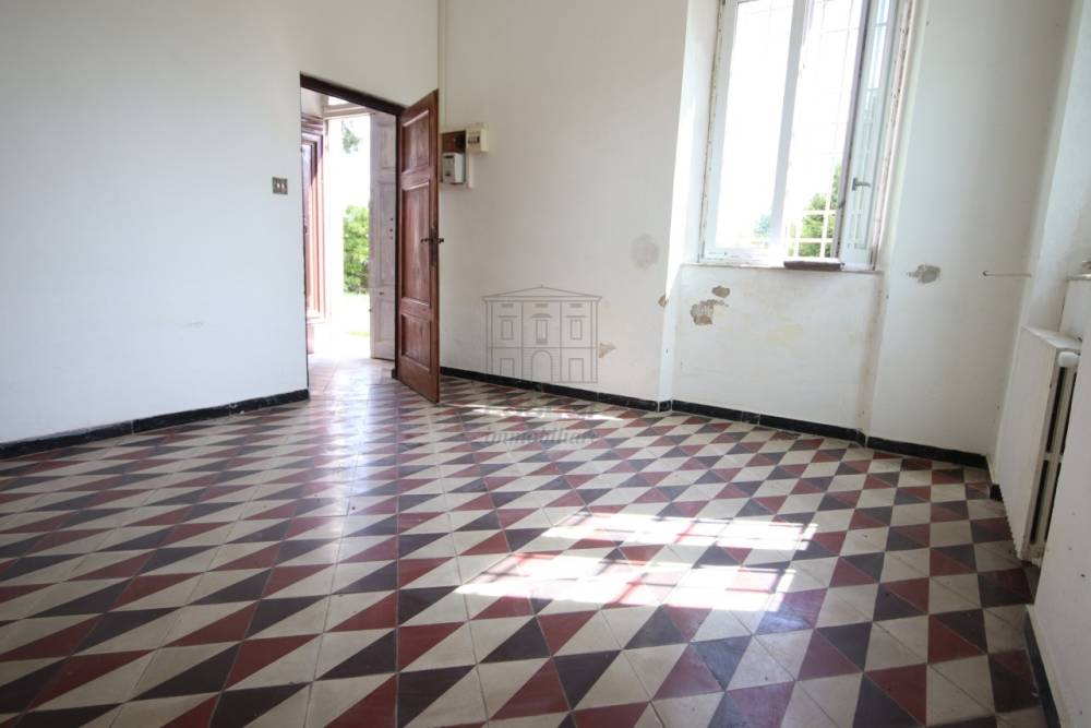 immagine annuncio 5 di 14