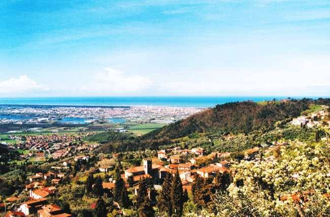 immagine annuncio 9 di 13