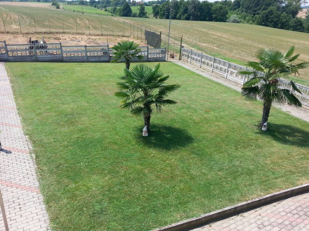 immagine annuncio 3 di 13