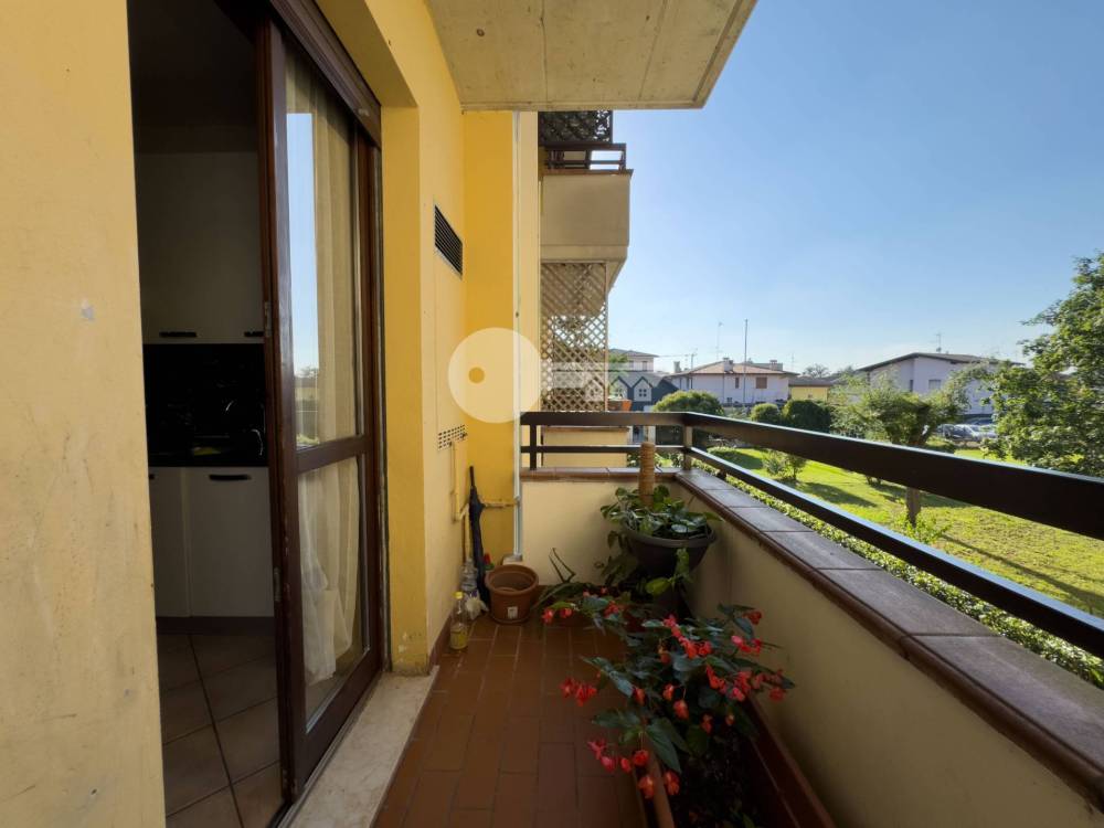 immagine annuncio 6 di 13