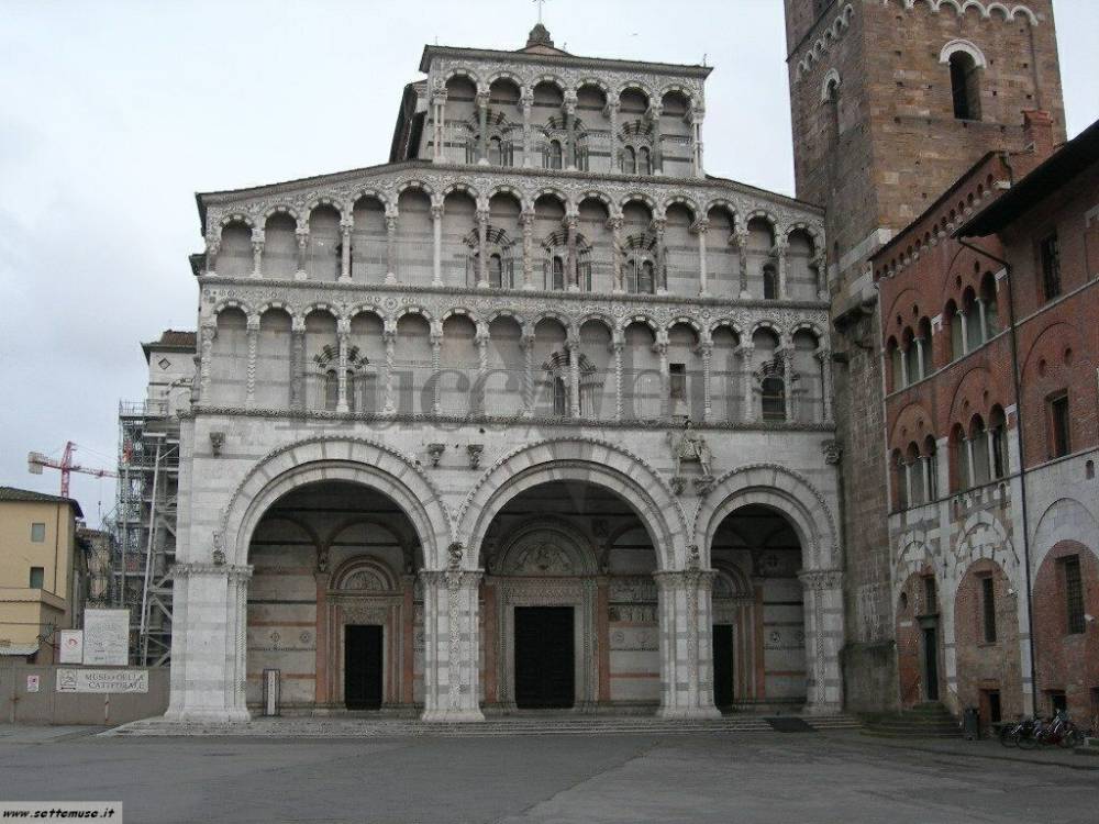 immagine annuncio 10 di 13