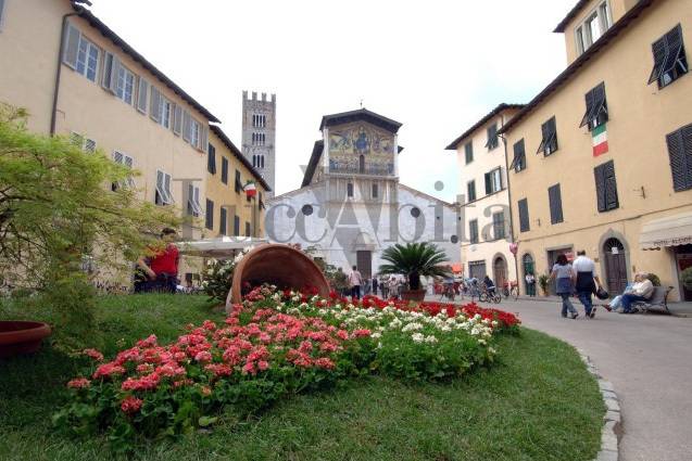 immagine annuncio 4 di 13
