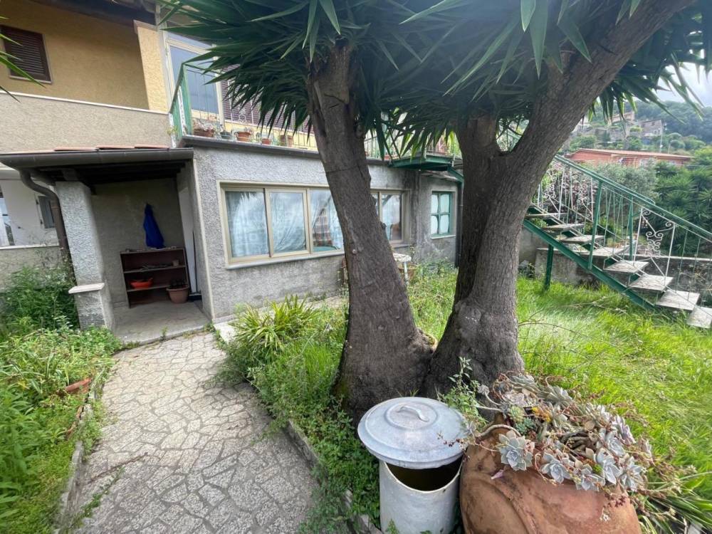 immagine annuncio 3 di 13