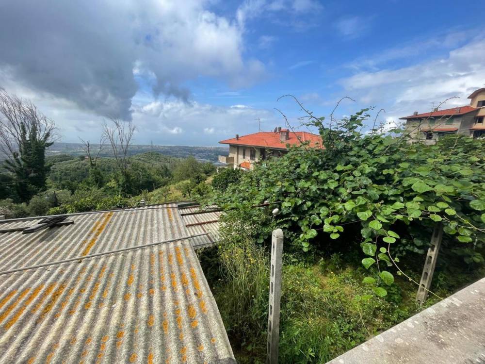 immagine annuncio 4 di 13