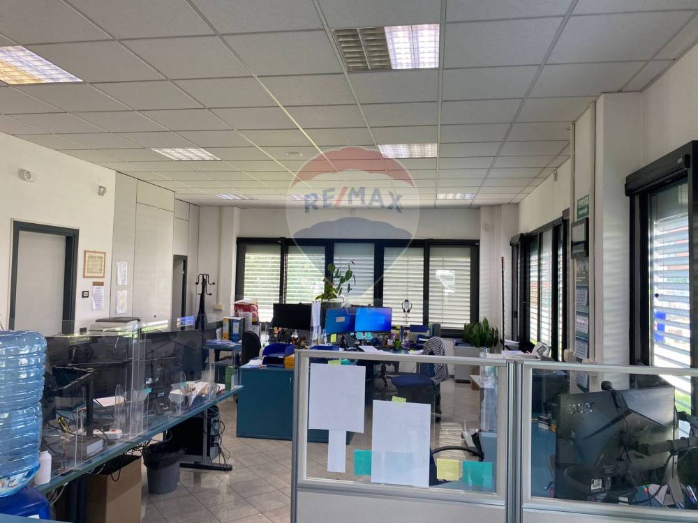 immagine annuncio 2 di 13