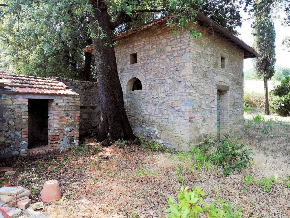 immagine annuncio 7 di 13