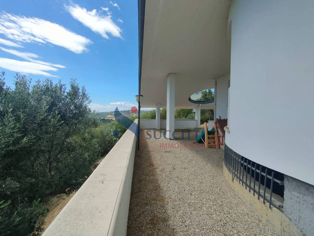 immagine annuncio 6 di 13
