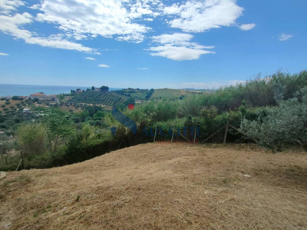 immagine annuncio 10 di 13