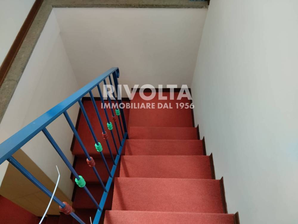 immagine annuncio 3 di 14
