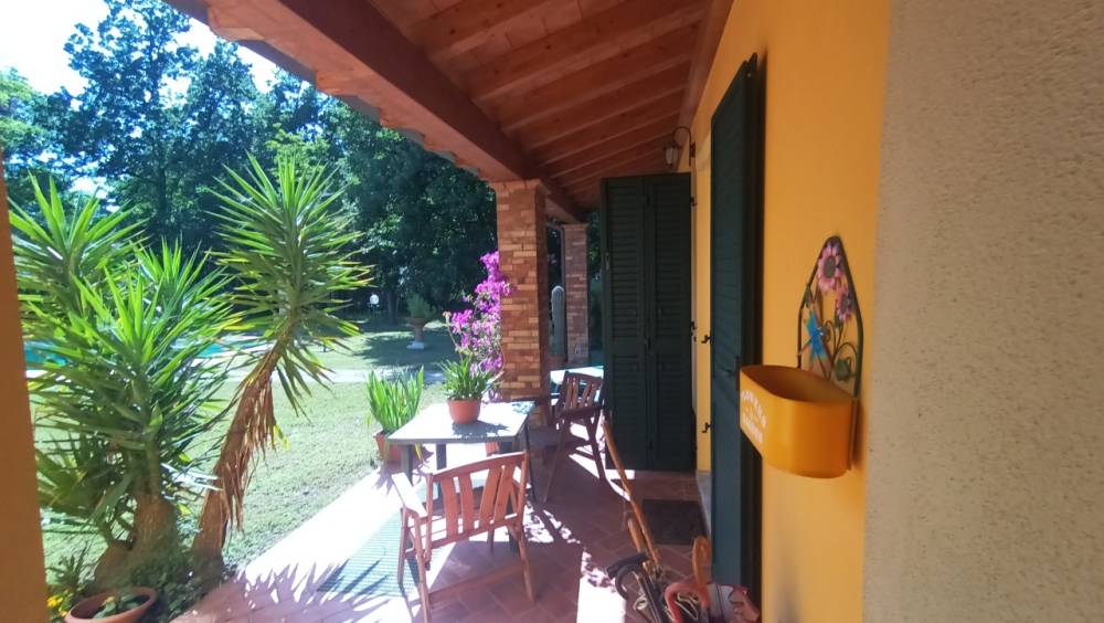 immagine annuncio 3 di 13