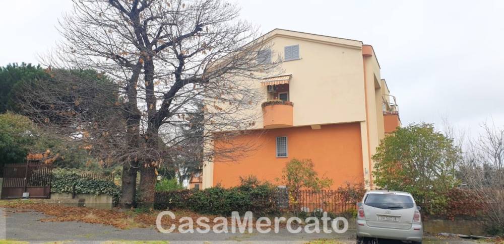 immagine annuncio 3 di 14