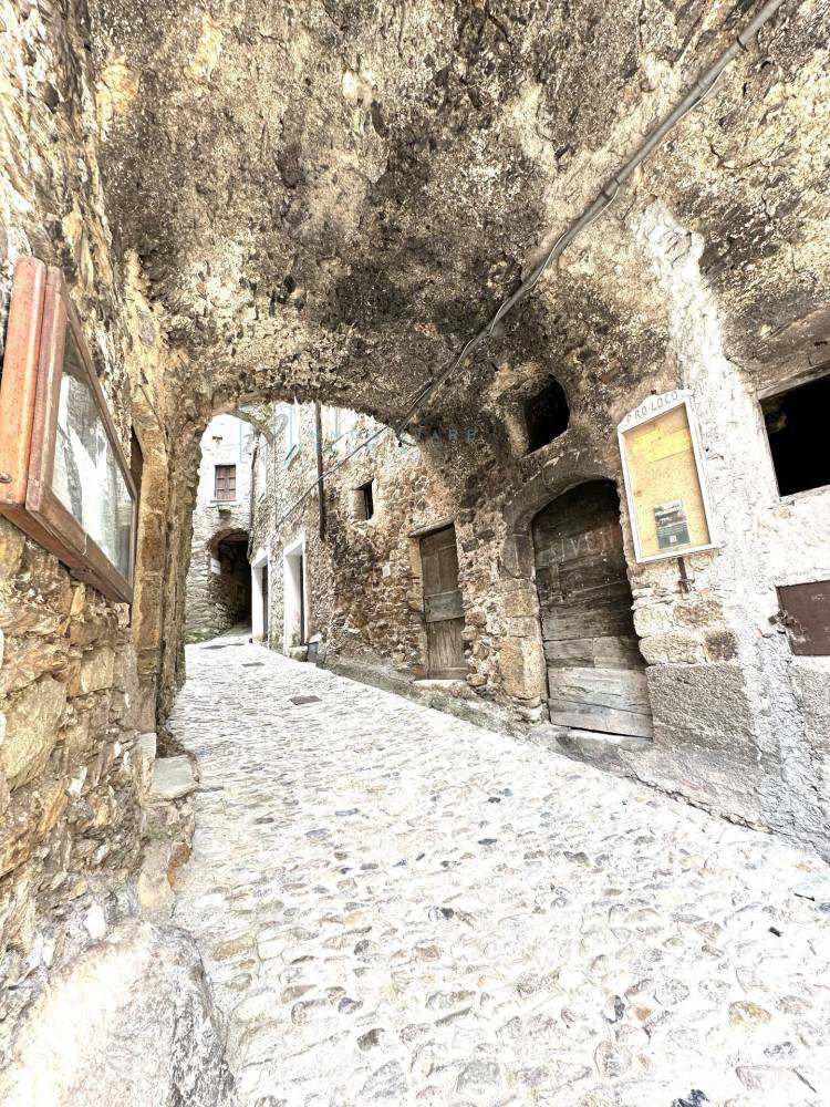 immagine annuncio 3 di 13