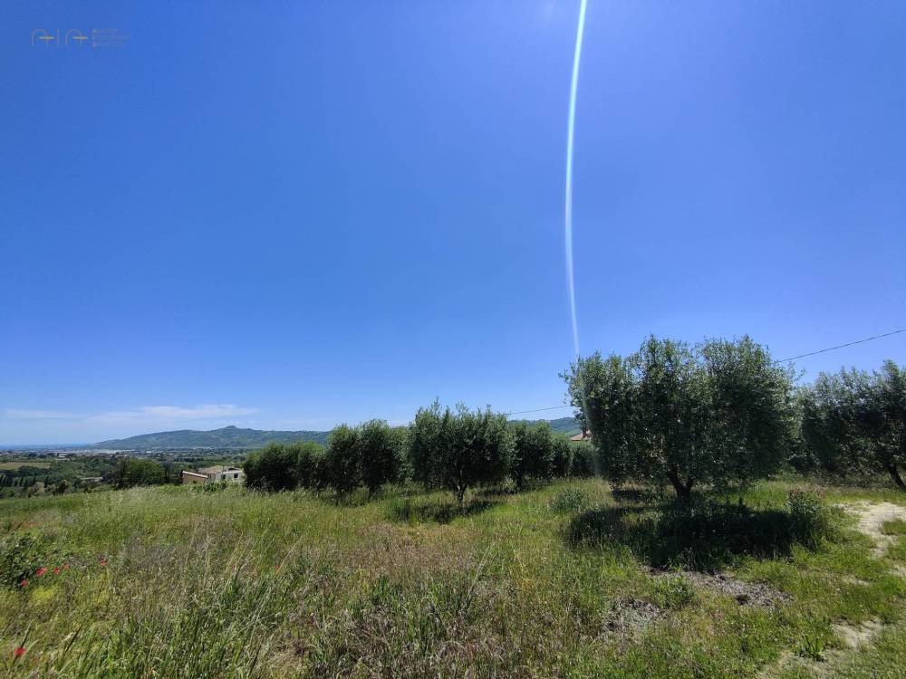 immagine annuncio 9 di 13