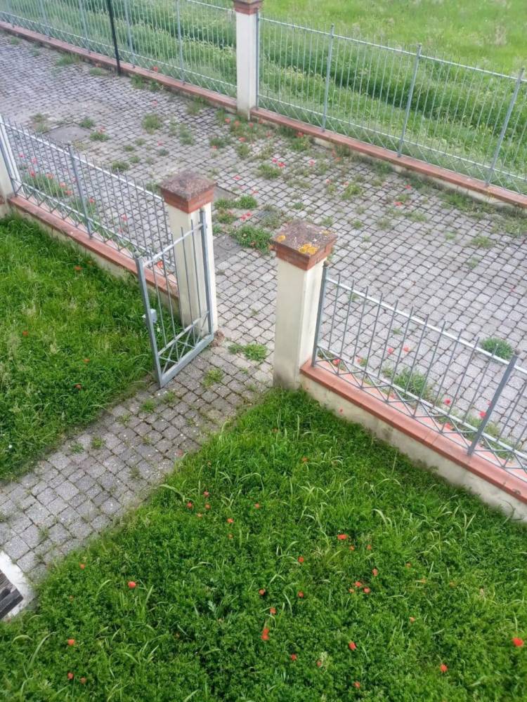 immagine annuncio 2 di 13