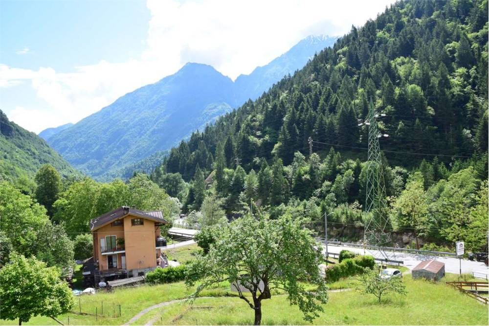 immagine annuncio 6 di 13