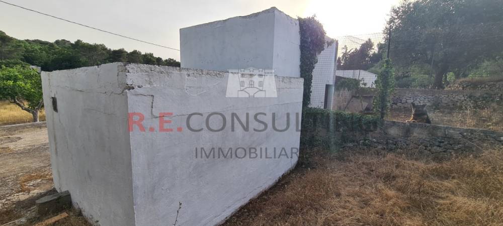 immagine annuncio 4 di 13