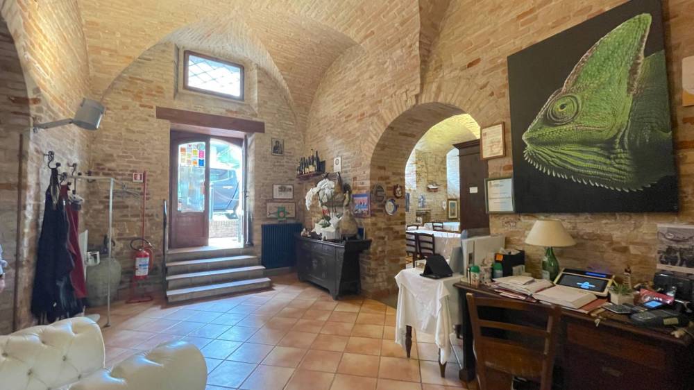 immagine annuncio 9 di 13