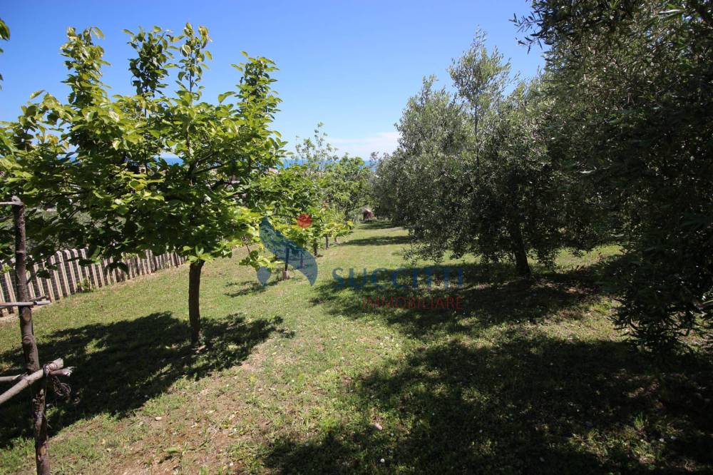 immagine annuncio 6 di 13