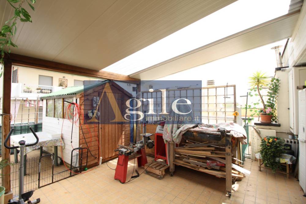 immagine annuncio 9 di 13