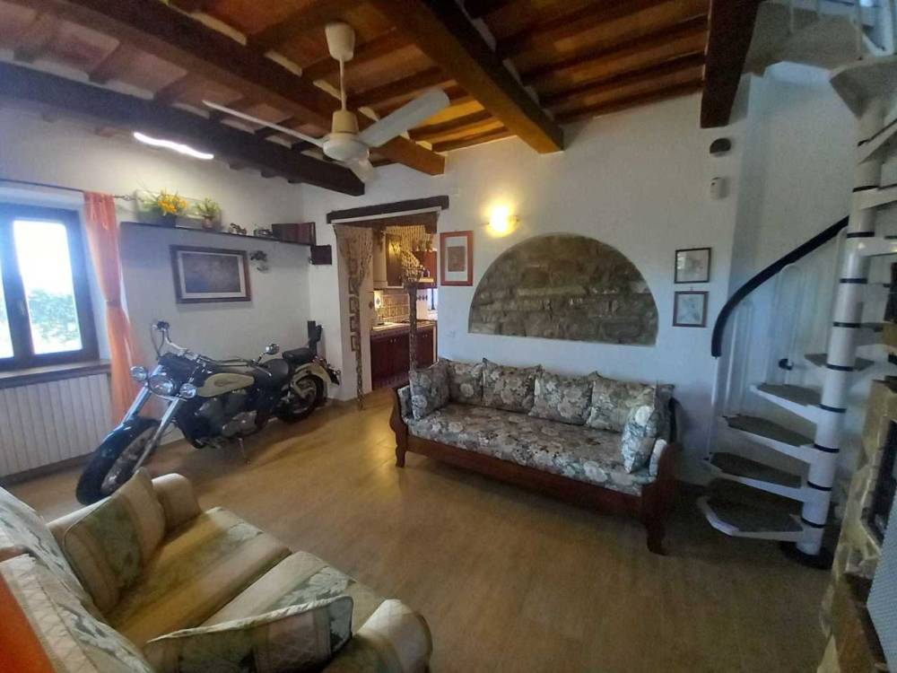 immagine annuncio 12 di 13