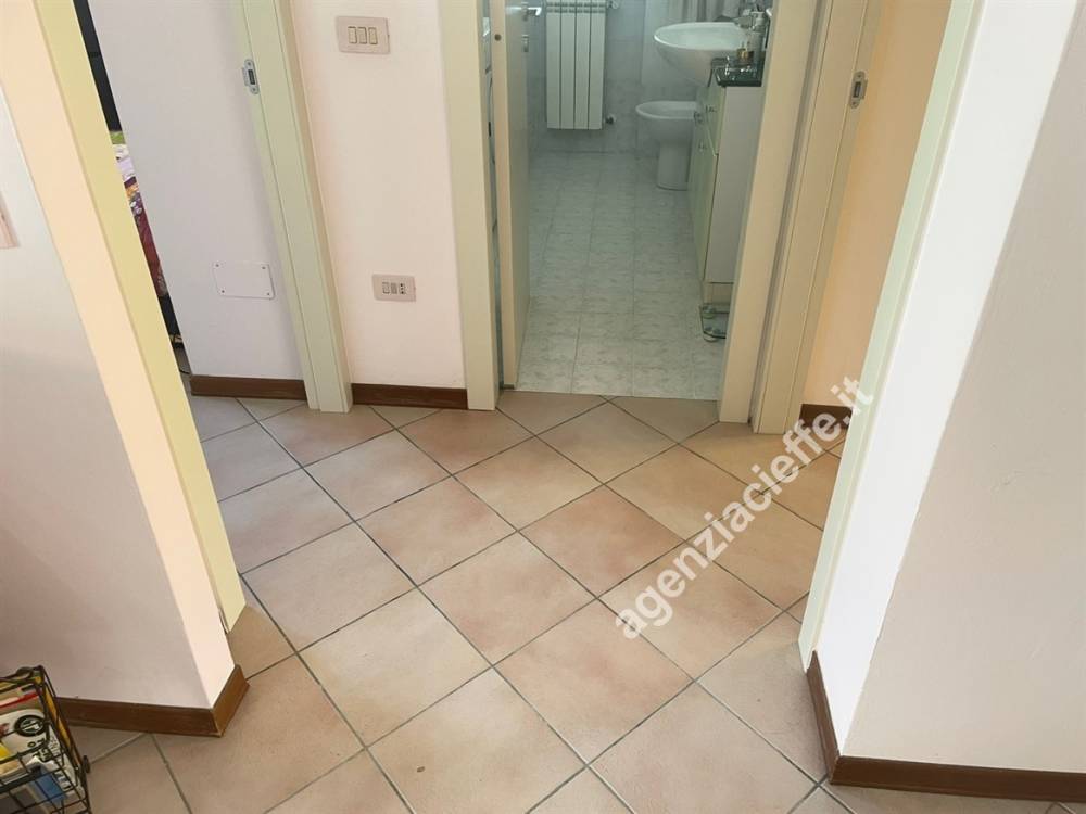immagine annuncio 10 di 14