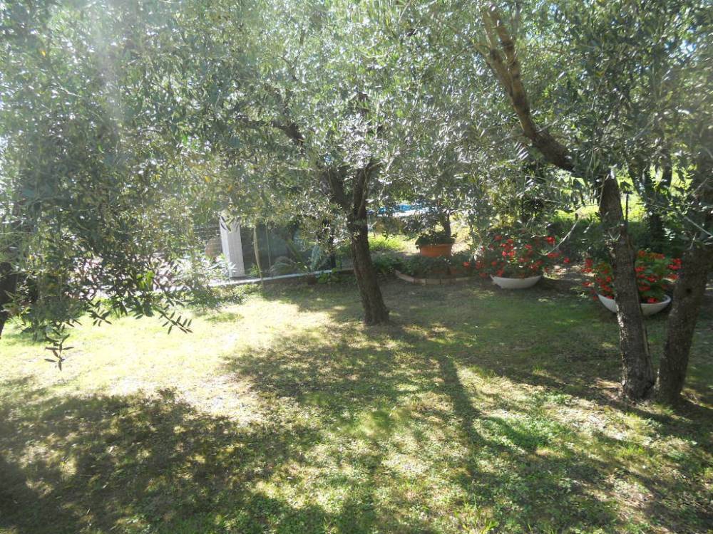 immagine annuncio 2 di 13